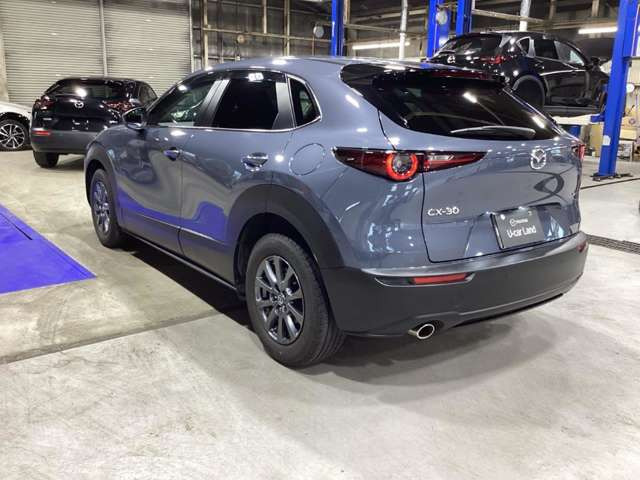 CX-302.0 20S