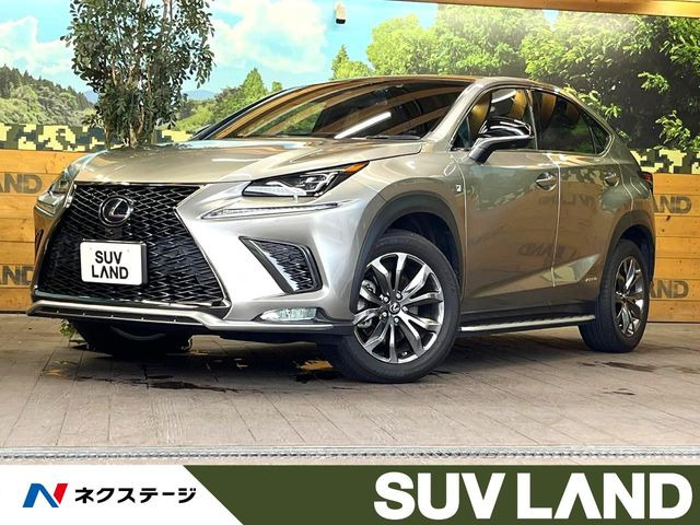 NX300h Fスポーツ