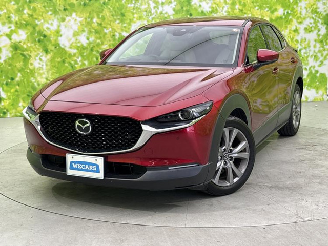CX-301.8 XD Lパッケージ