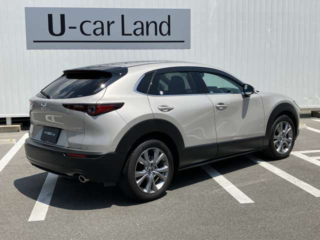 CX-302.0 20S プロアクティブ