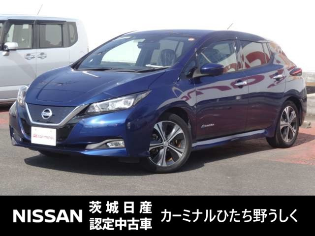 リーフG