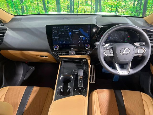 NX350h Fスポーツ