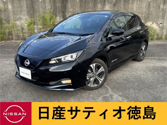 リーフe+ G