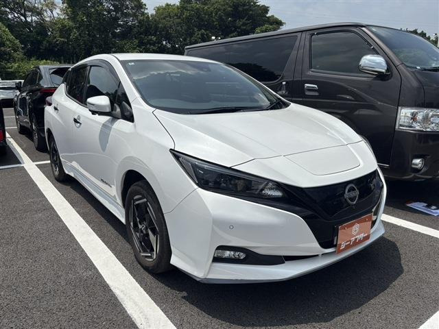 リーフe+ X