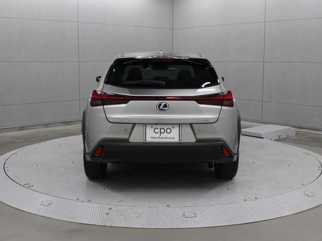 UX250h