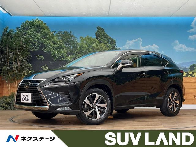 NX300 バージョンL