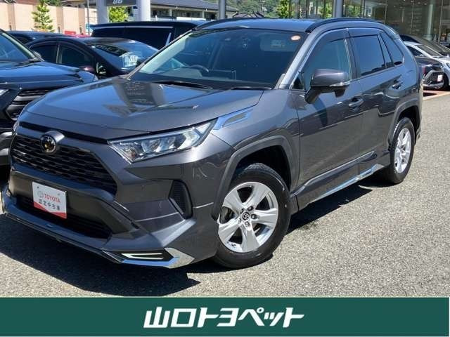 RAV42.0 X