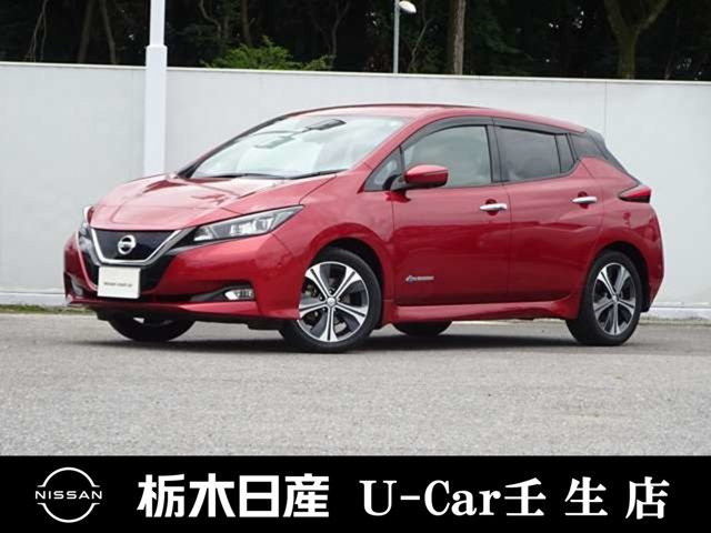 リーフG