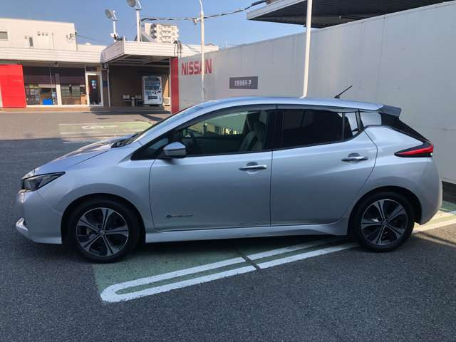 リーフX