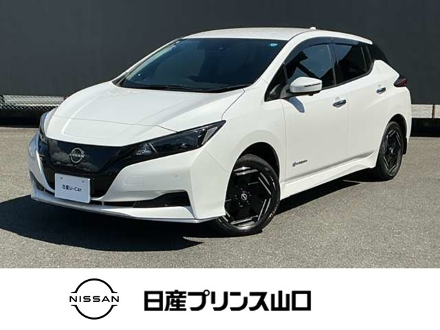 リーフe+ X