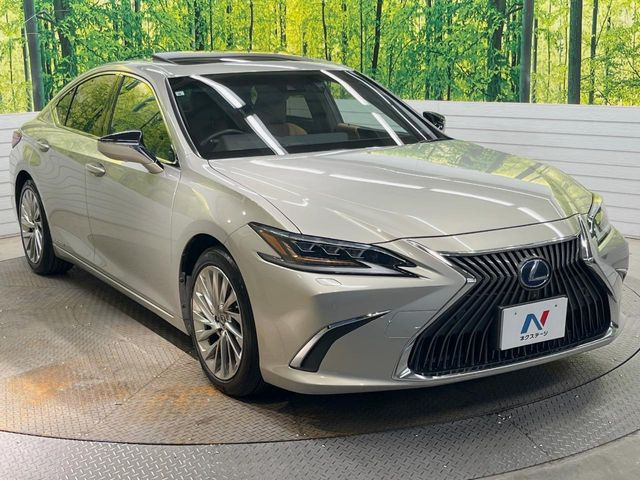 �������x�̃K���X�疌�ŝ����͂������A�㎿�ȃc���E����������B���O����_���J�����؂Ȉ��Ԃ�ی삵�A�F�����E�򉻂�h�~�B�u�e�X�v���b�V���R�[�g�v�A�u�e�v���~�b�T�R�[�g�v���炨�I�т��������܂��B