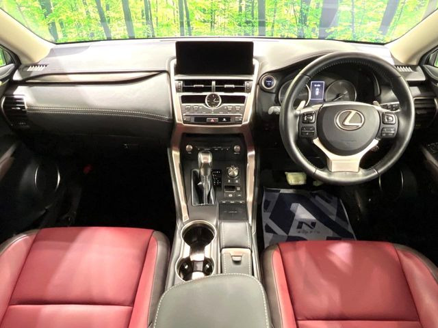 NX300h Iパッケージ