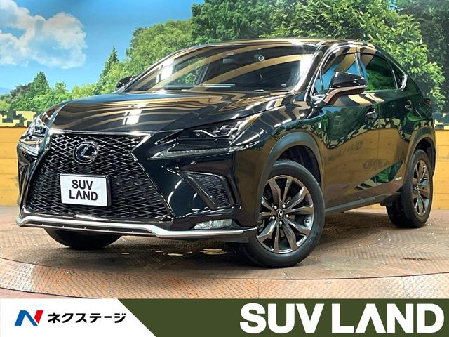 NX300h Fスポーツ