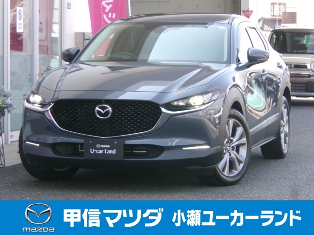 CX-301.8 XD Lパッケージ