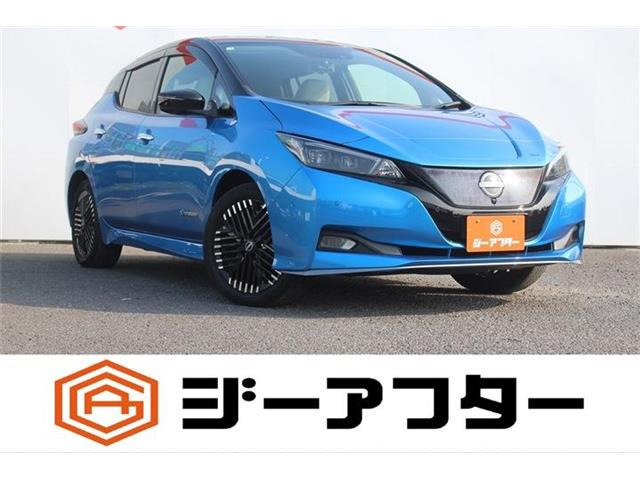リーフe+ G