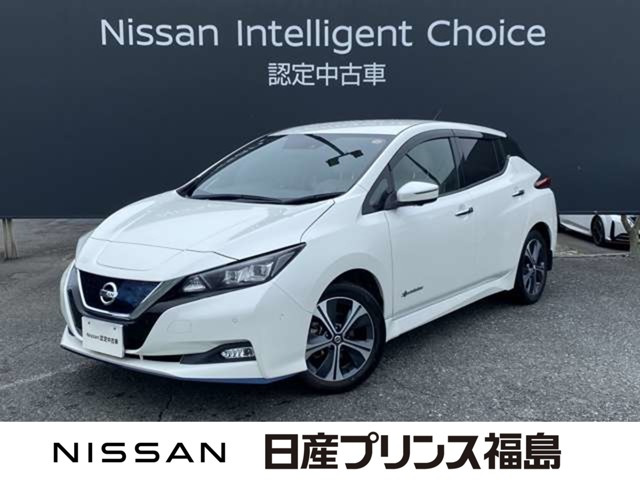 リーフe+ G