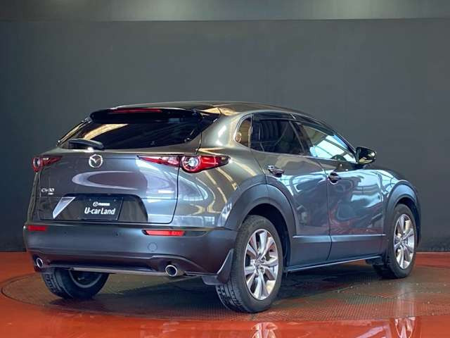 CX-301.8 XD Lパッケージ