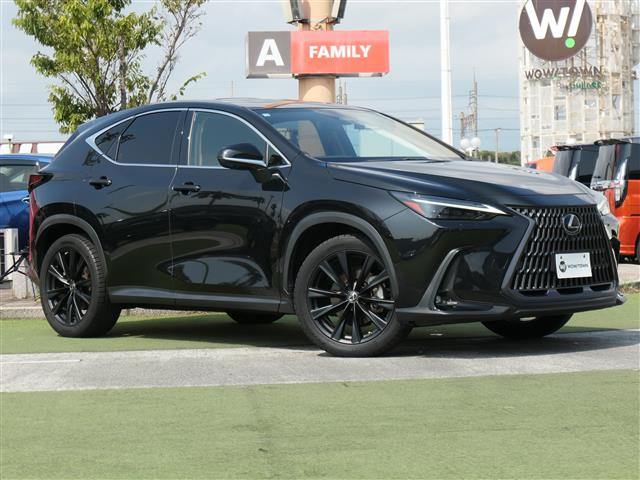 NX250 バージョンL