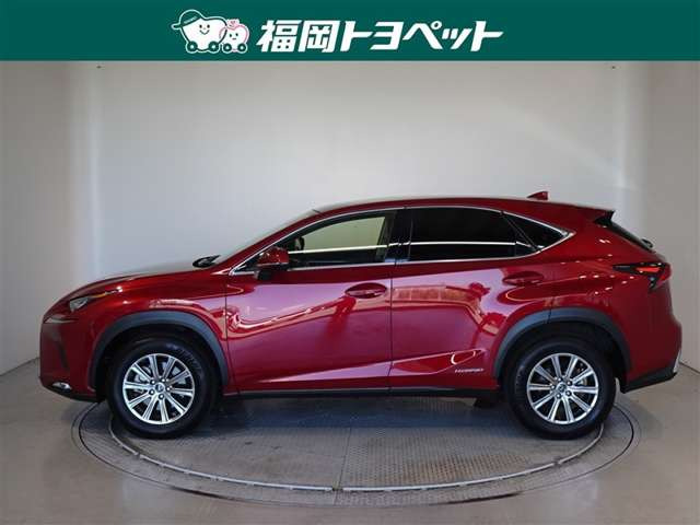 NX300h Iパッケージ