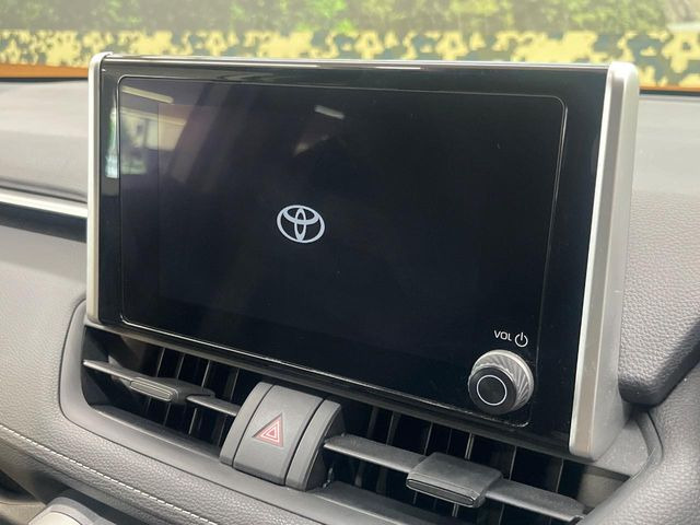 RAV42.0 X
