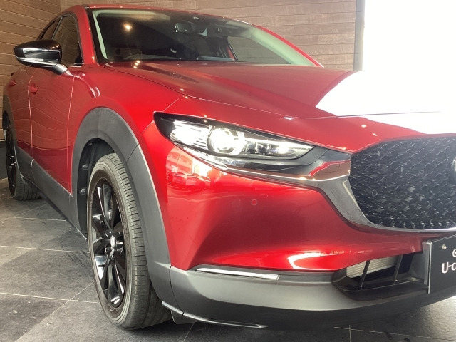 CX-302.0 20S