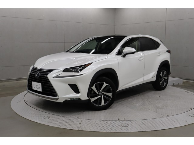 NX300h Iパッケージ