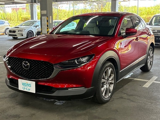 CX-301.8 XD Lパッケージ