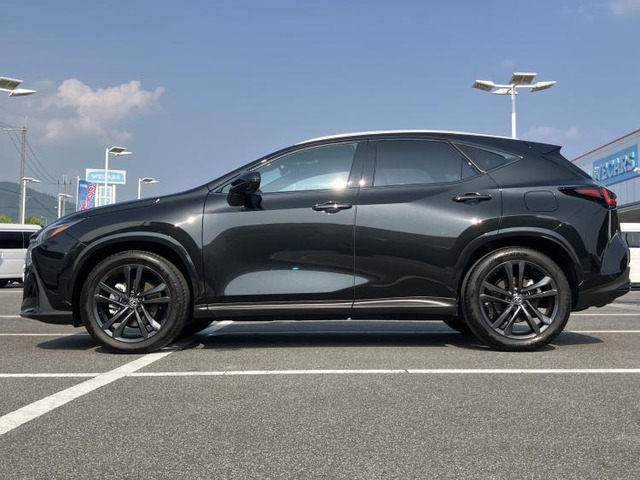NX250 バージョンL