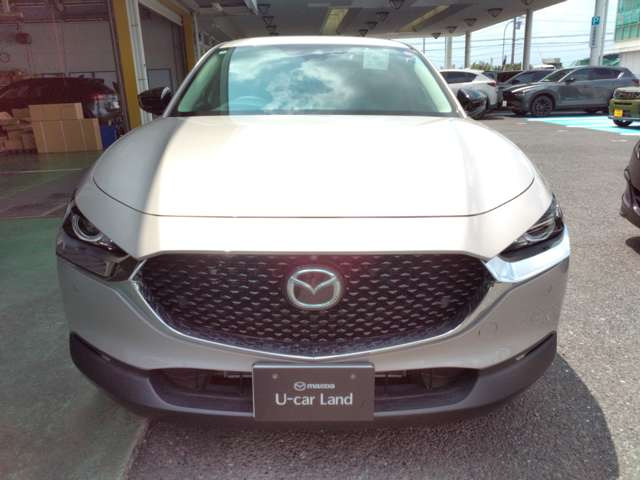CX-30