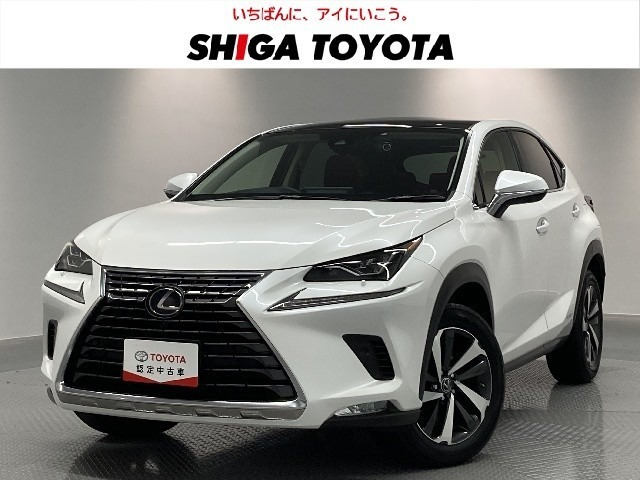 NX300h バージョンL