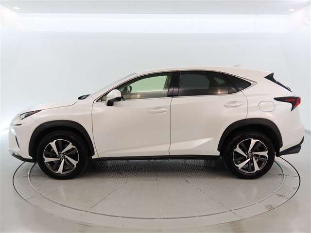 NX300 Iパッケージ 4WD