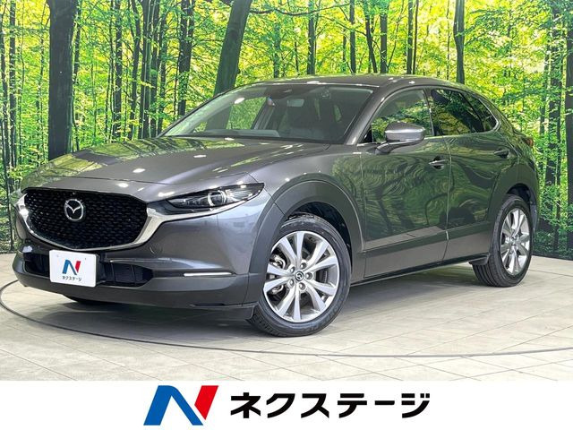 CX-302.0 20S プロアクティブ