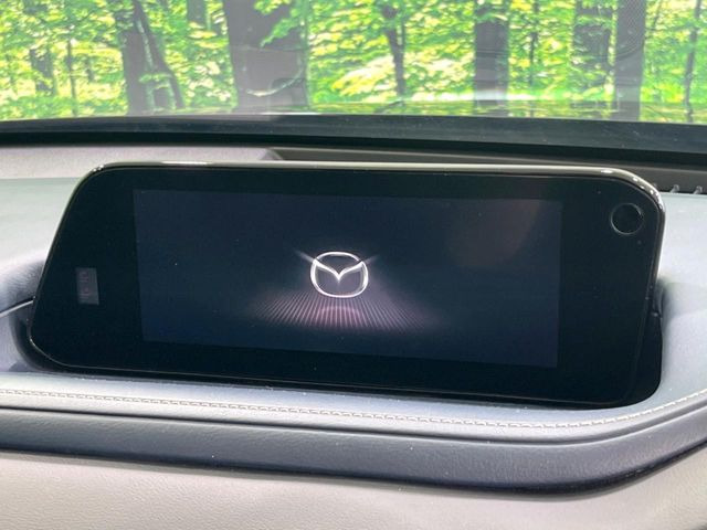 CX-302.0 20S プロアクティブ
