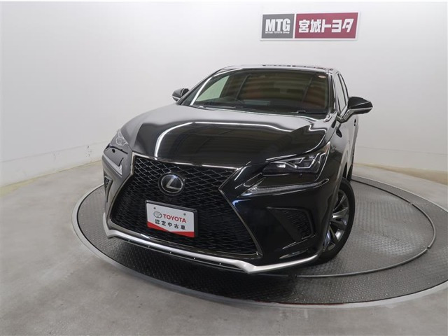NX300 Fスポーツ 4WD
