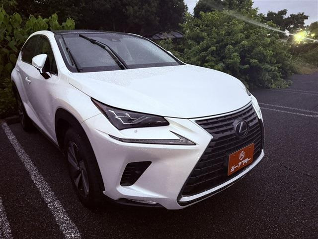 NX300 Iパッケージ