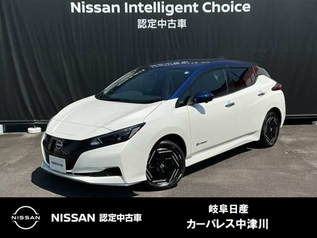 リーフe+ X