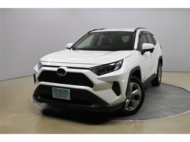 RAV42.0 X
