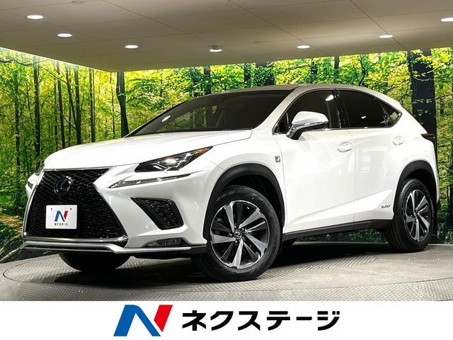 NX300h Iパッケージ