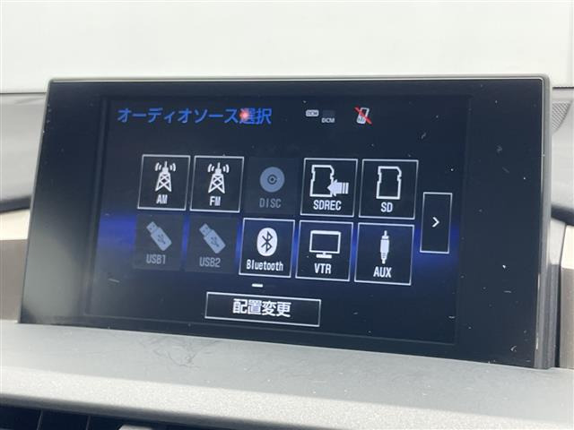 NX300h Fスポーツ