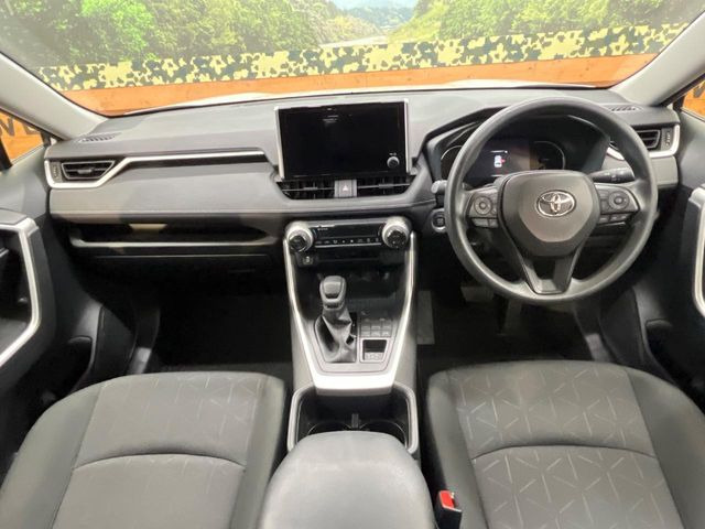 RAV42.0 X