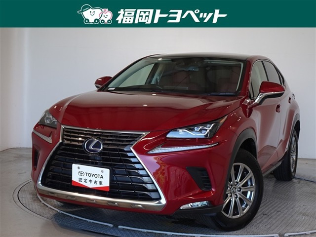 NX300h Iパッケージ