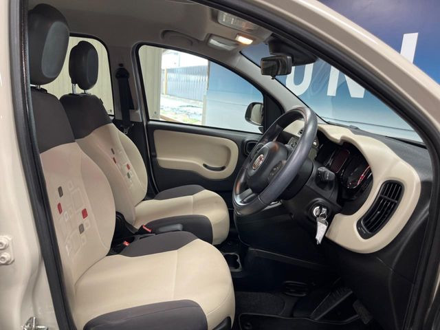 ���㕔���Ȃ��C�ɂȂ�悤�ȃL�Y�E�����ւ��蓙�A�傫�ȃ_���[�W�͂Ȃ��A�ǍD�ȏ�Ԃł��B