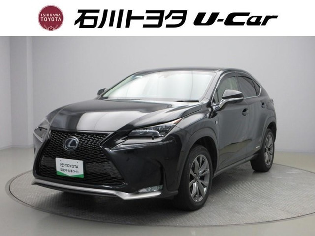 NX300h Iパッケージ 4WD