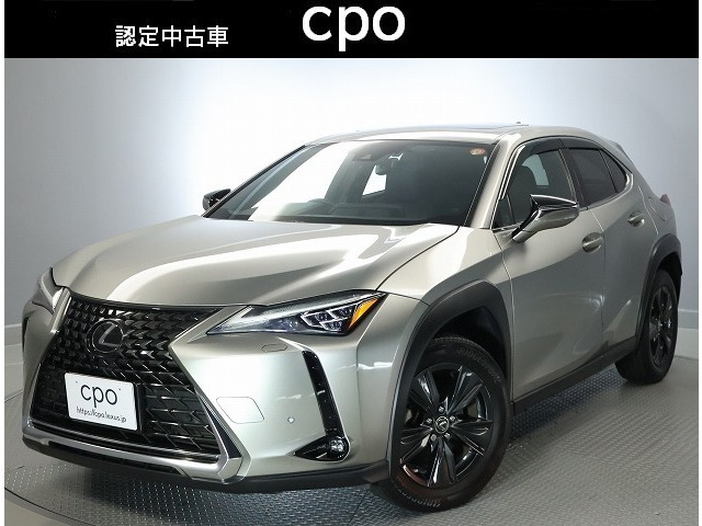 UX250h バージョンC