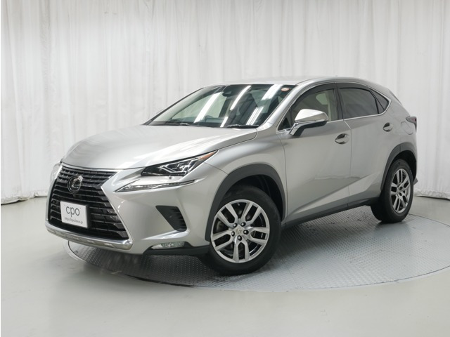 NX300 バージョンL 4WD