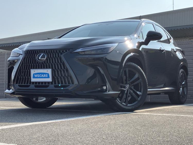 NX250 バージョンL