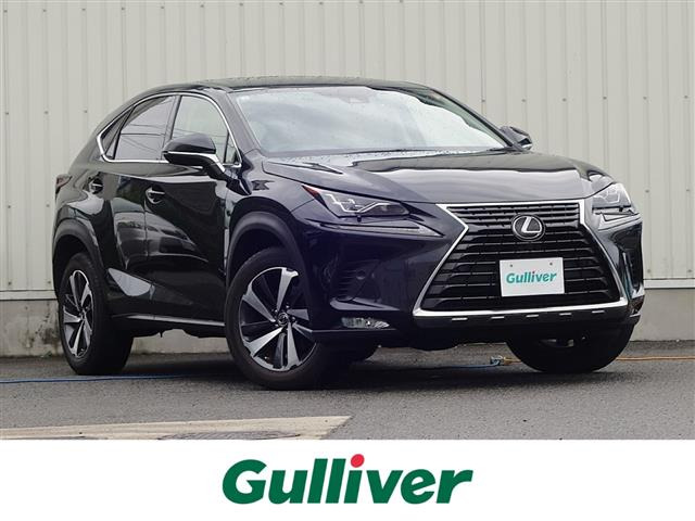 NX300 Iパッケージ 4WD