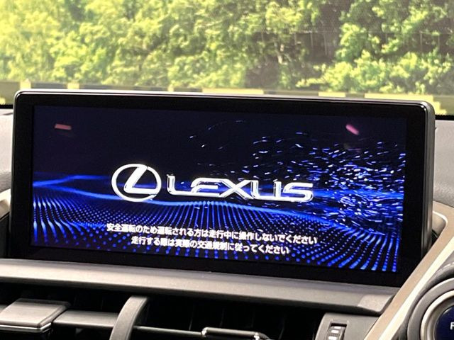 NX300h Fスポーツ