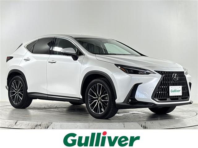 NX250 バージョンL