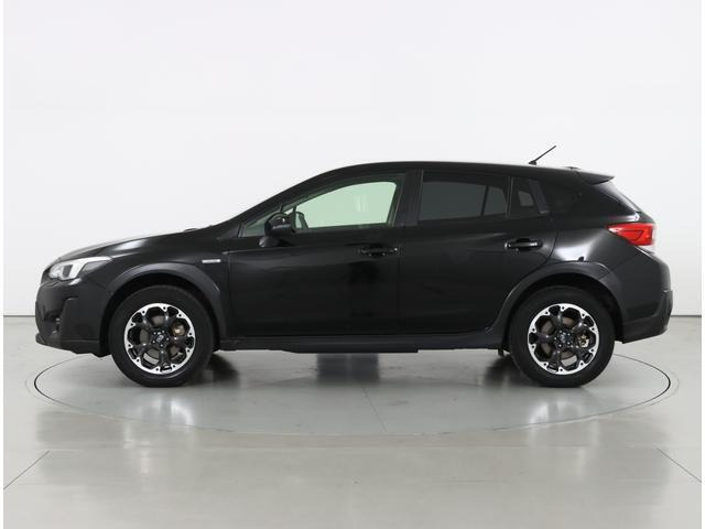 XV